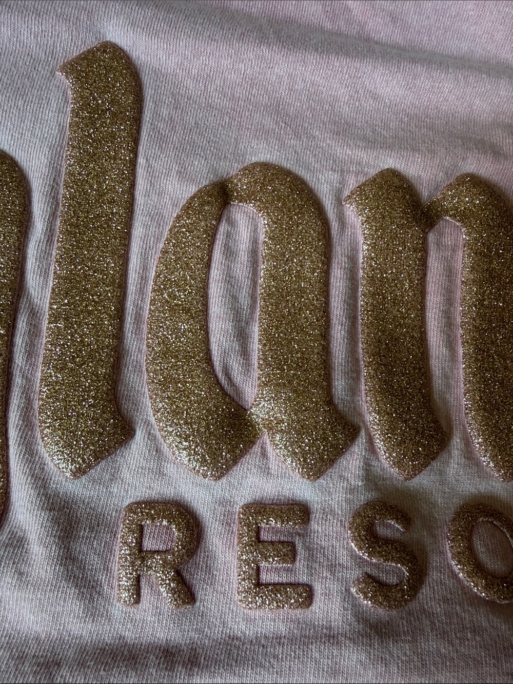 Disneyland Resort Spirit Jersey Rose Gold - Picture 2 of 5